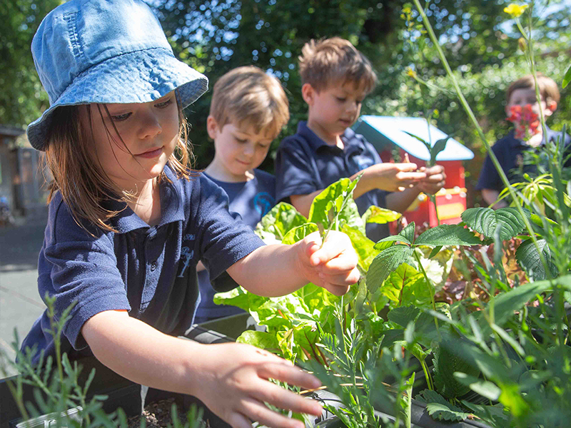 Children learning to garden